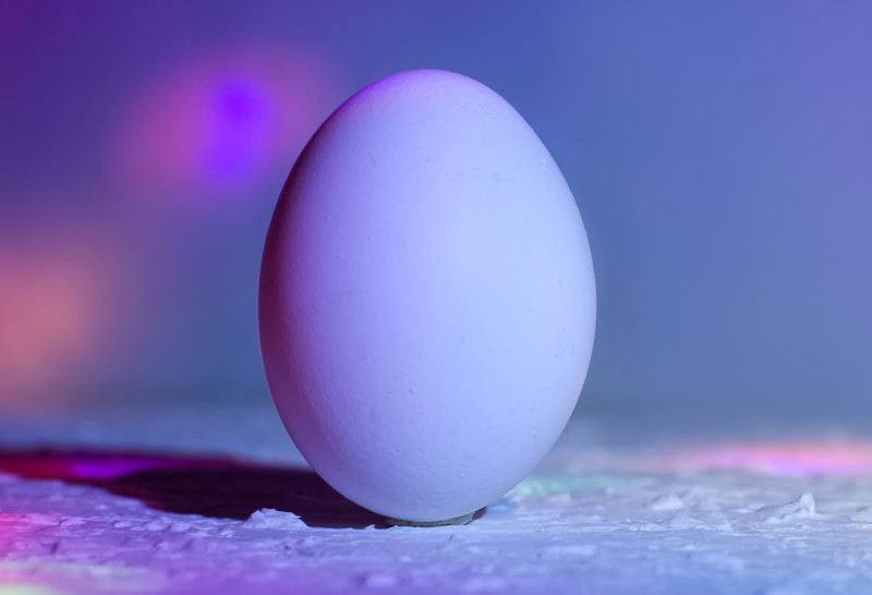 el poder del huevo