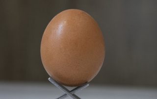huevo con cáscara
