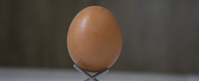 huevo con cáscara