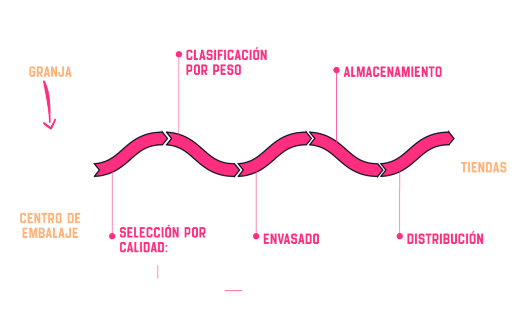 infografia trazabilidad huevos europa