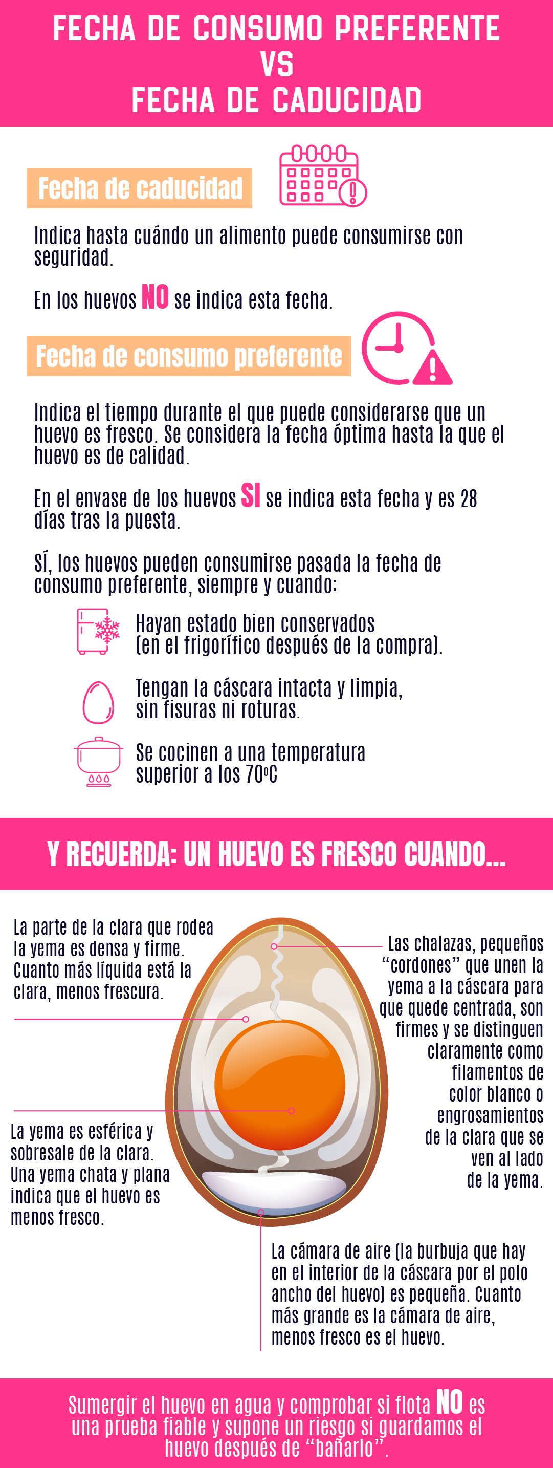 Fecha Consumo huevos europeos