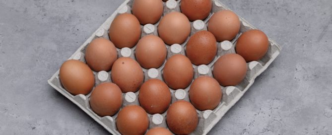 Mercado de producción de huevos