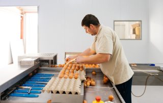 Huevos europeos un alimento seguro de confianza