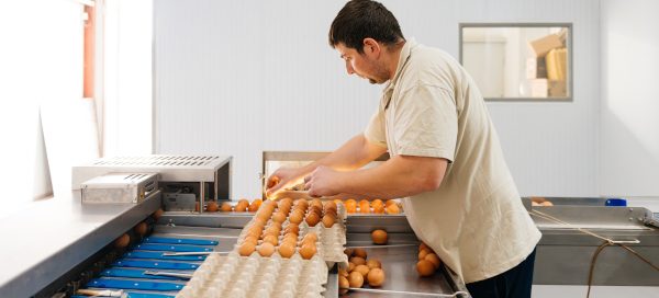 Huevos europeos un alimento seguro de confianza